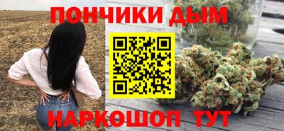 крисы Краснознаменск