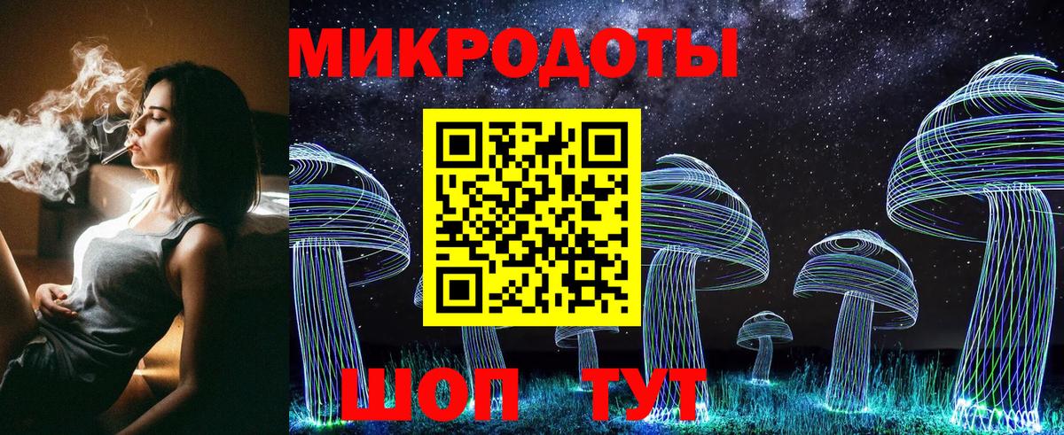 Псилоцибиновые грибы Psilocybine cubensis Дзержинск