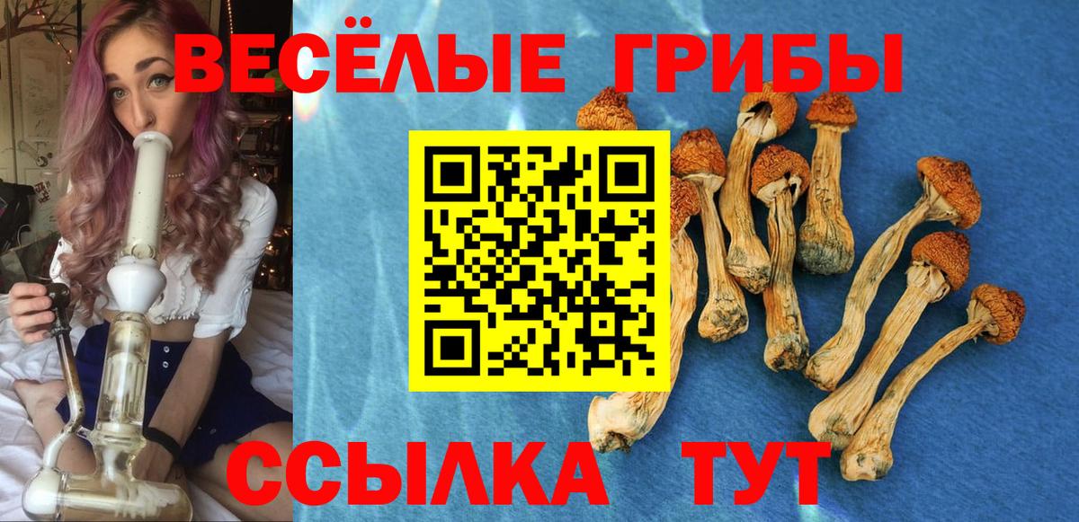 Дзержинск  Псилоцибиновые грибы мицелий  Вход с VPN 