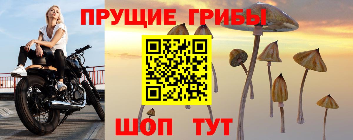 Галлюциногенные грибы прущие грибы  закладка  Дзержинск 